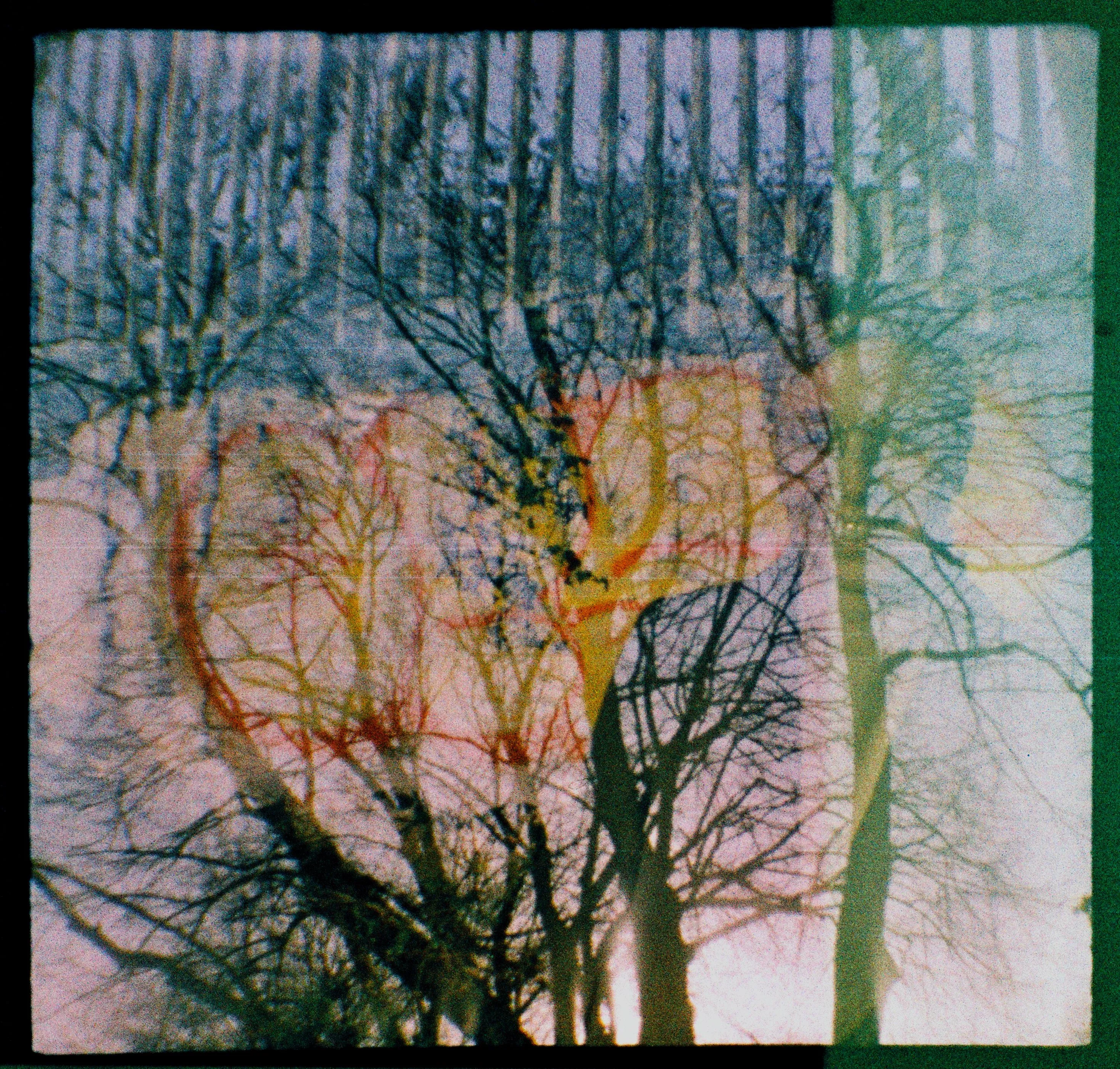 A double exposure of some graffiti and some trees