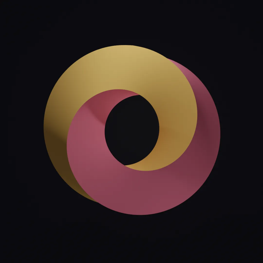 An image of a circle. A kind of mobius strip.