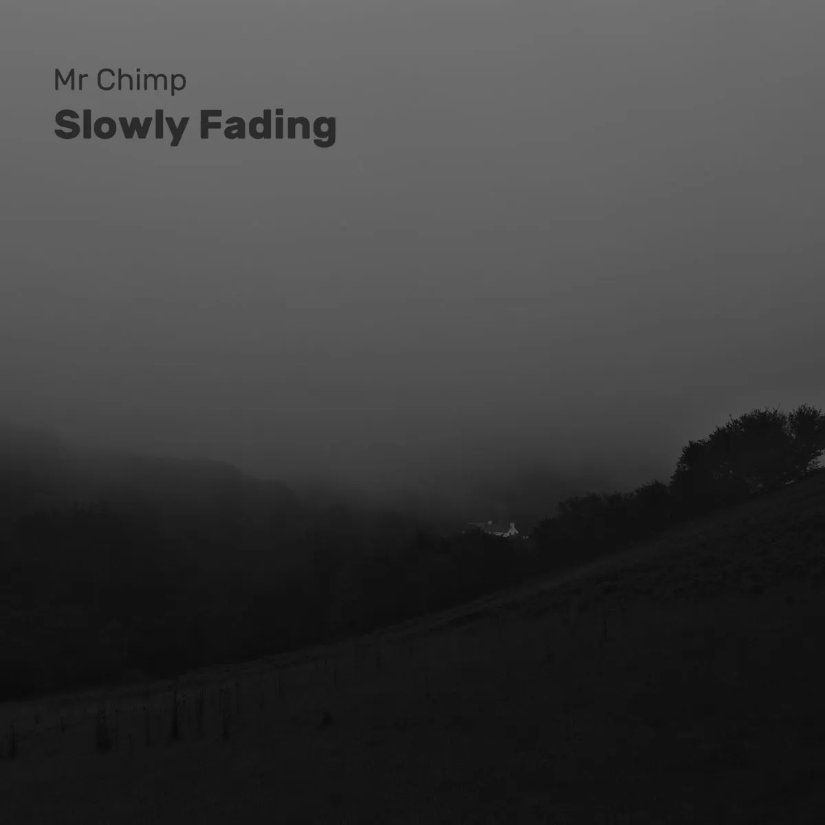 A black and white photo of gloomy, rainy valley. There are trees to one side. At the bottom of the valley, far away, there is a house. Text over the image reads: "Mr Chimp. Slowly Fading"