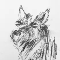 Sorry I broke the alt text