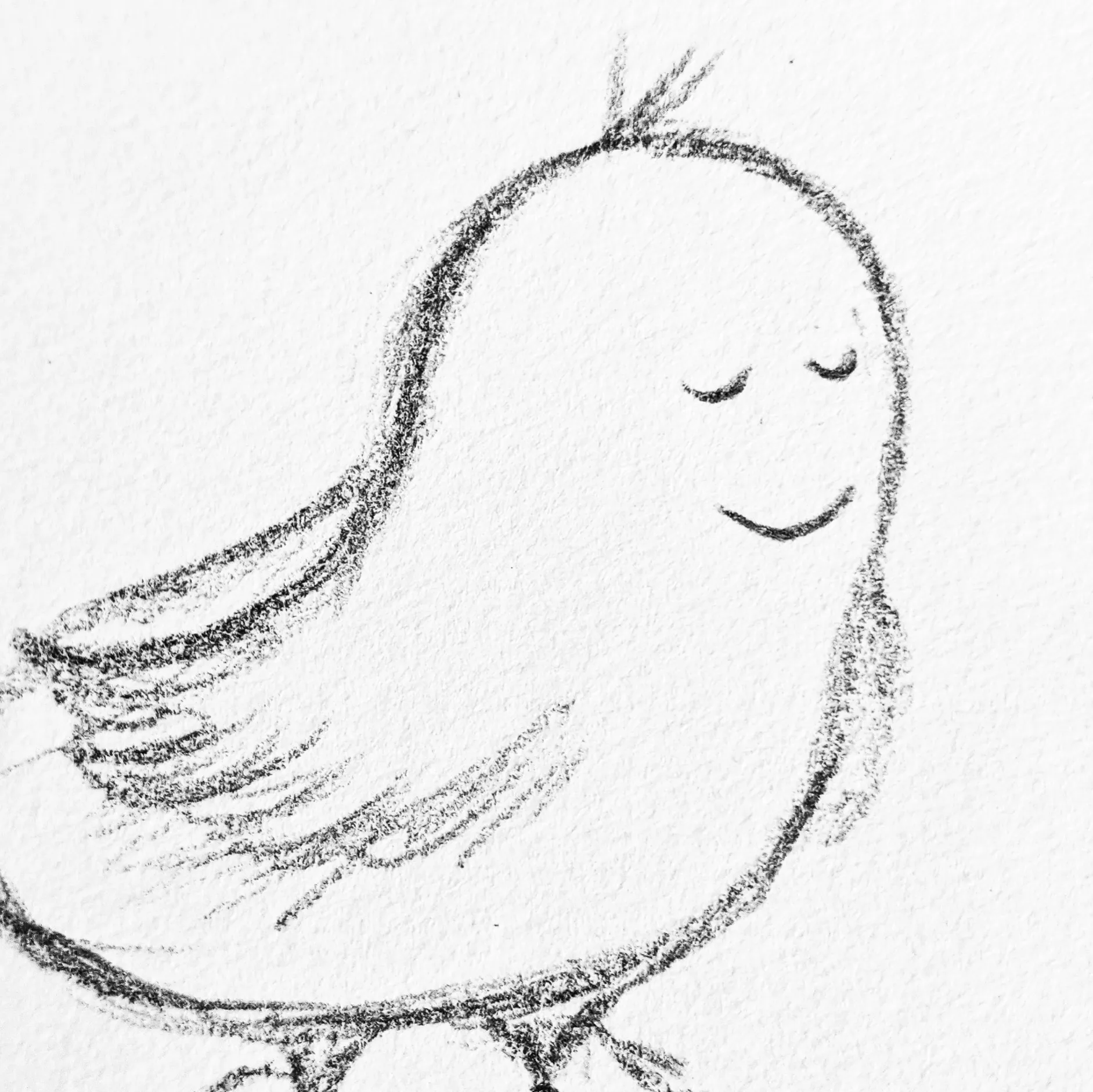 A picture of a small bird that has a smiley face where its beak should be