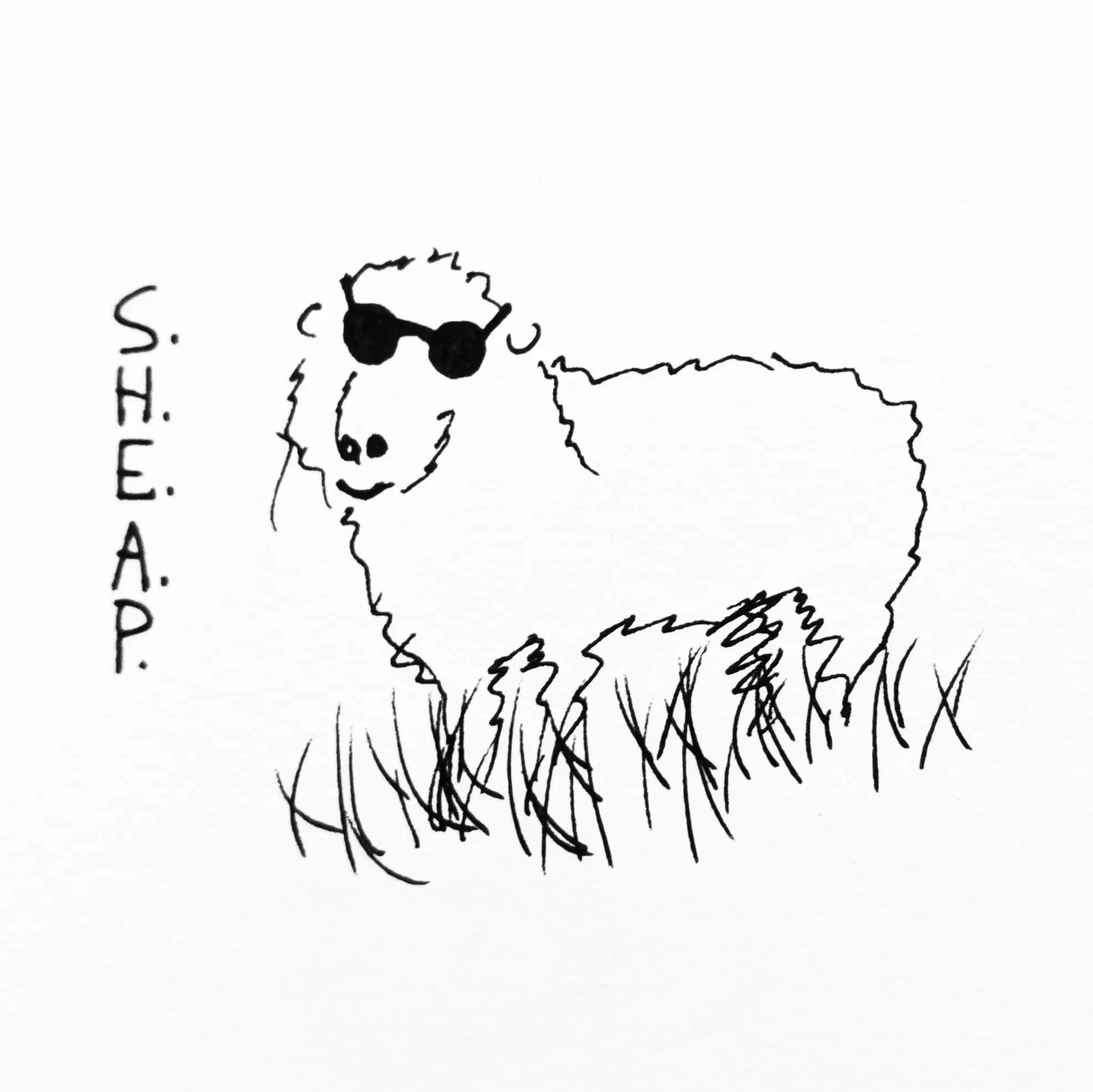 A sketch of a sheep wearing sunglasses with the caption "S. H. E. A. P."