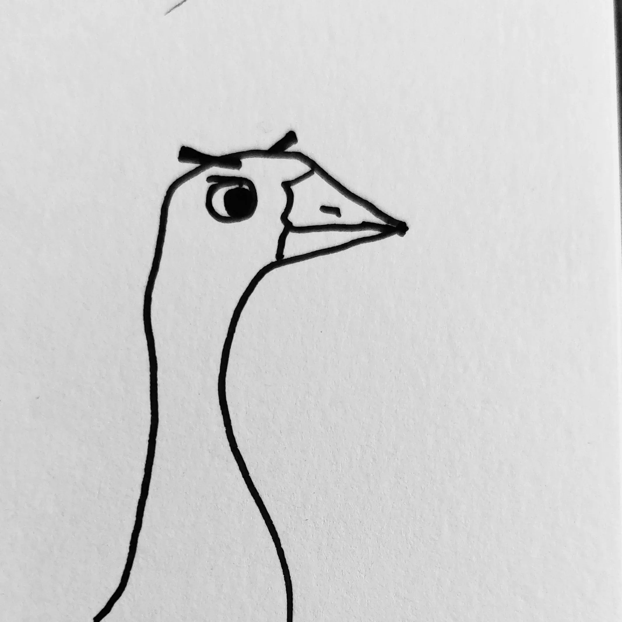 A pen and ink sketch of a goose with eyebrows