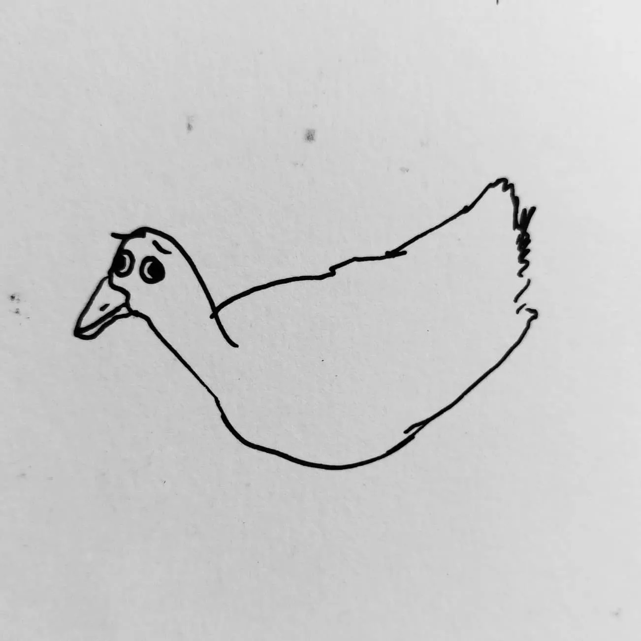 A sketch of a duck with eyebrows